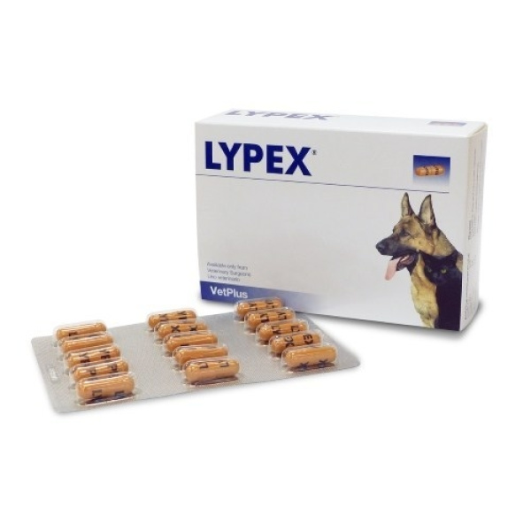 PET HEALTH VetPlus Lypex 1x60caps